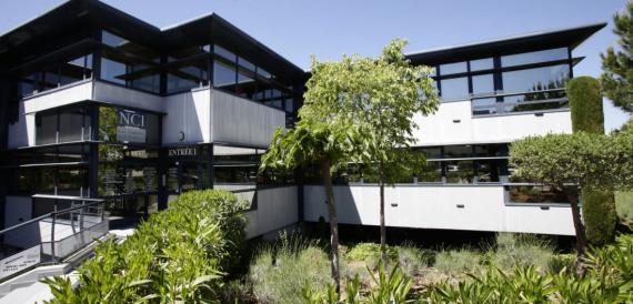 Linguistic and Translation Services in Sophia Antipolis (France)