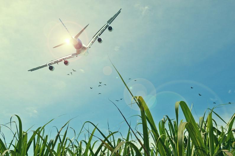 The aviation industry and translations