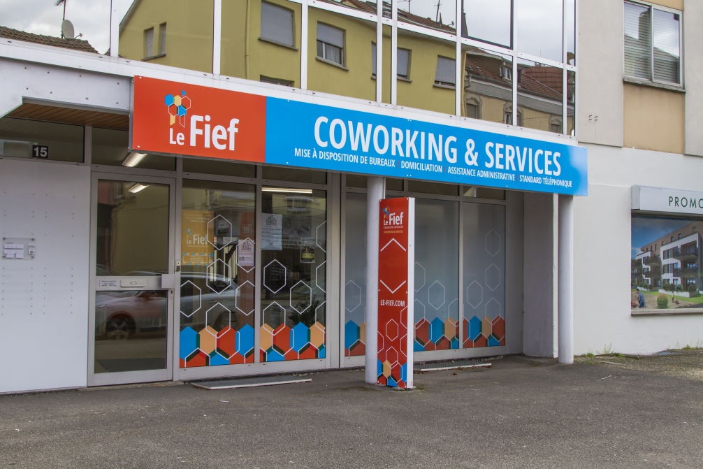 Translation Services in Saint Louis Optilingua