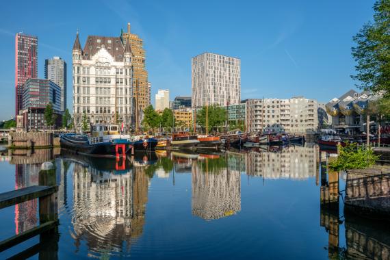 Dutch Translation Services in Rotterdam