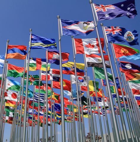 Government Translation Services Government Translation Services