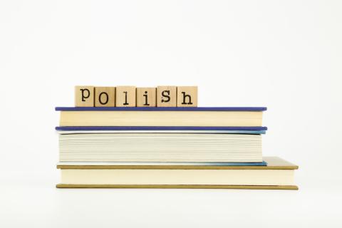 Polish translation services