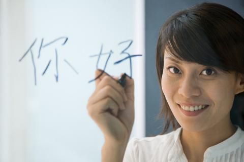 Languages Translation services languages