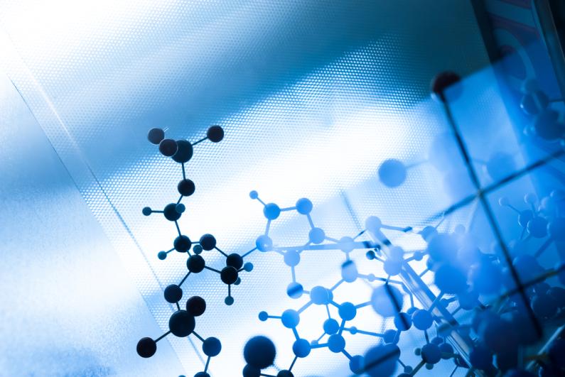 What are the essential skills needed for a scientific translation? What are the skills required for a scientific translation?