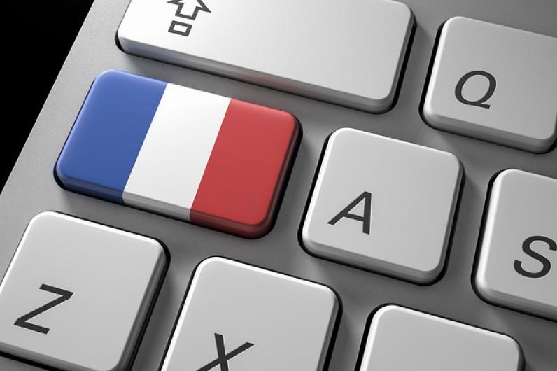 Improprieties, clichés and other oddities of the French language